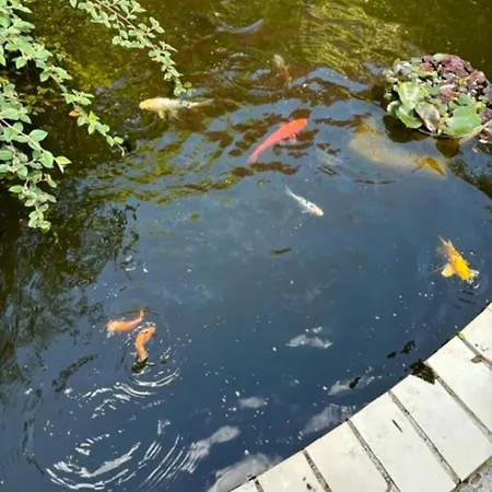 Daire Agreable Maison De Avec A Proximite *